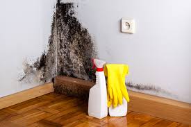 Mold Remediation for Rental Properties in South Coventry, CT